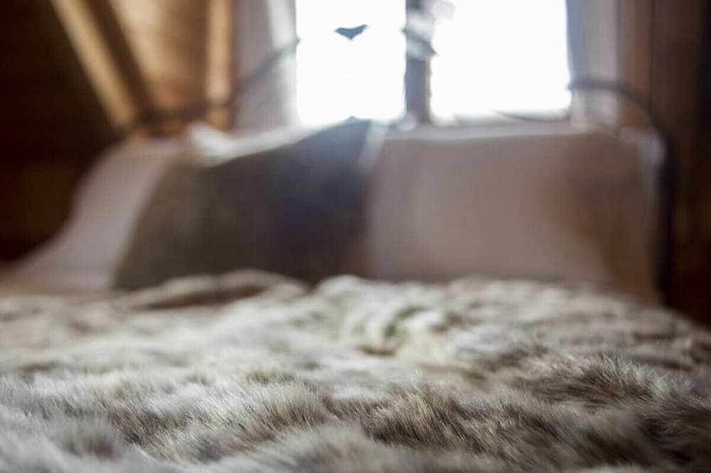 Photo of Bedroom in Sainte-Marie