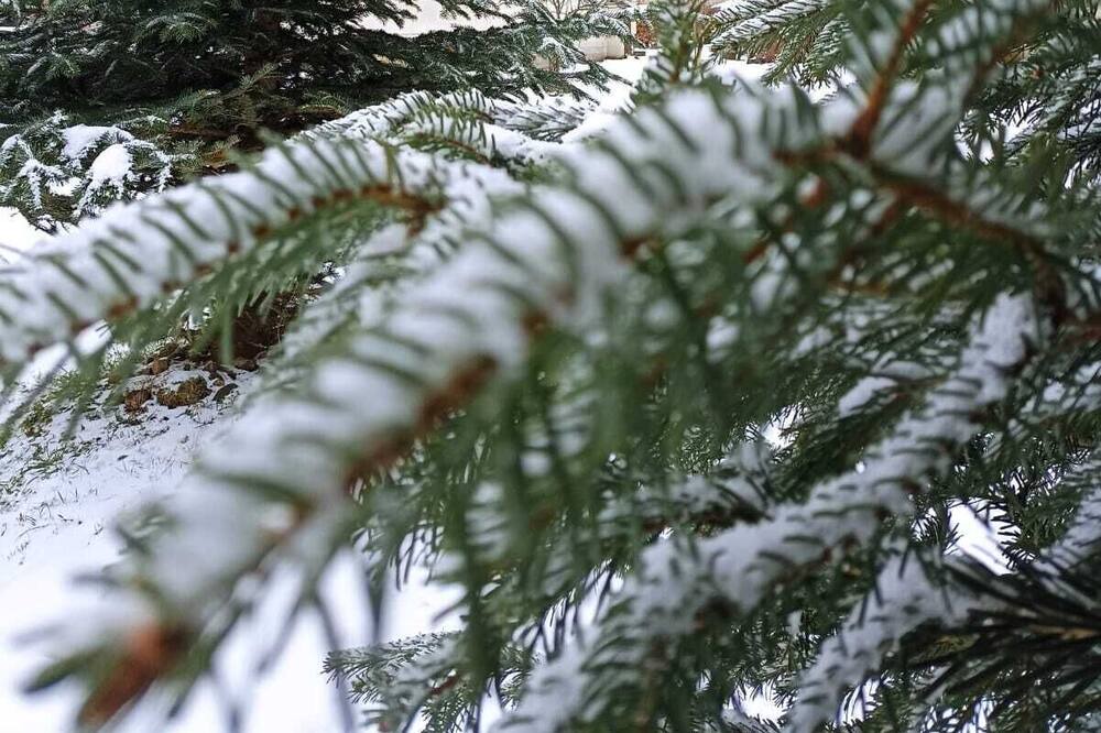 Photo of Outdoor in Aulus-les-Bains