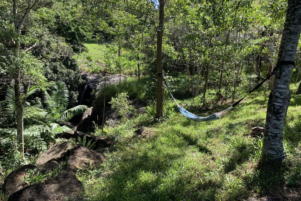 Photo of Outdoor in Carool