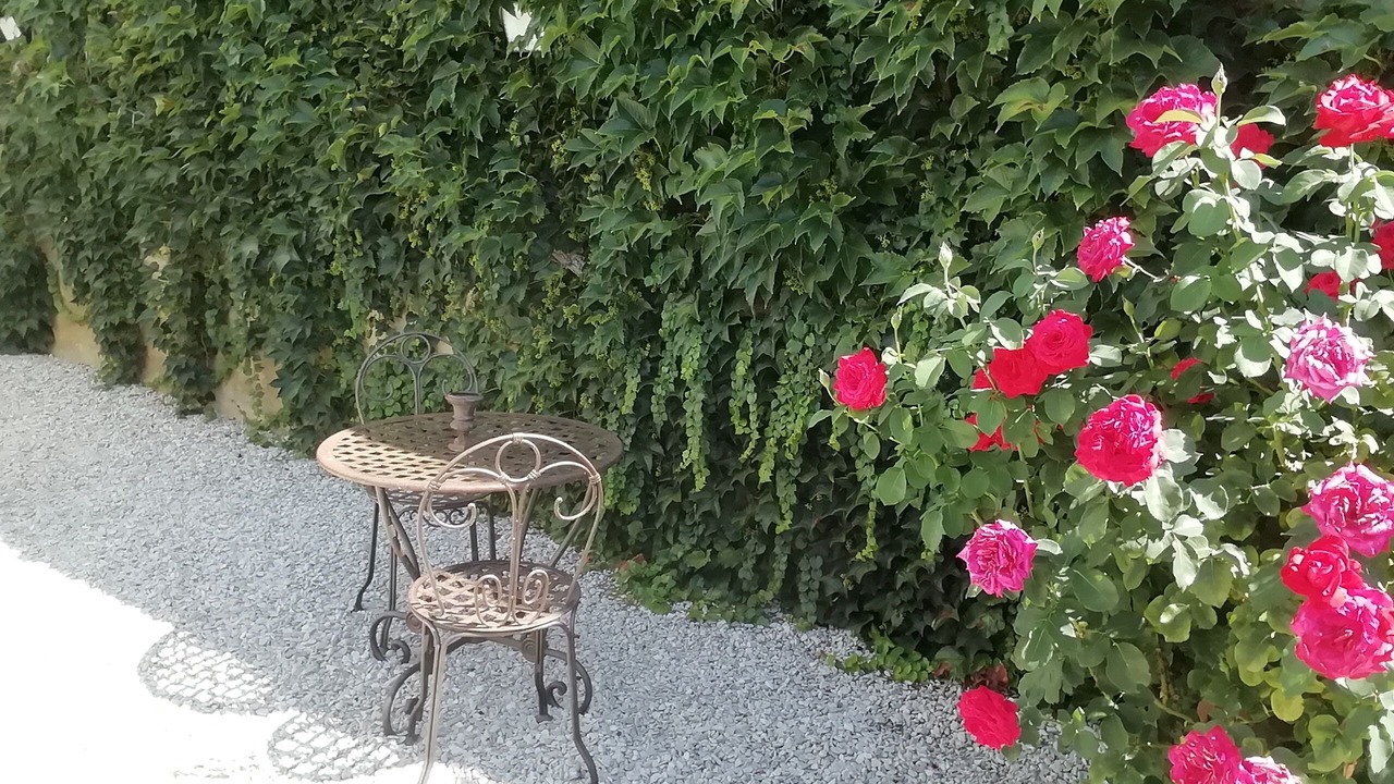 Photo of Outdoor in Vezinnes