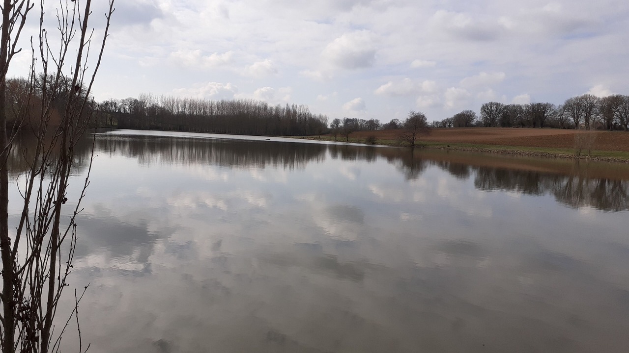 Photo of Outdoor in Thenezay