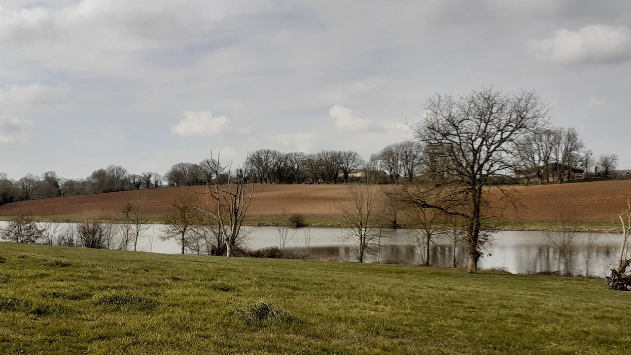 Photo of Outdoor in Thenezay