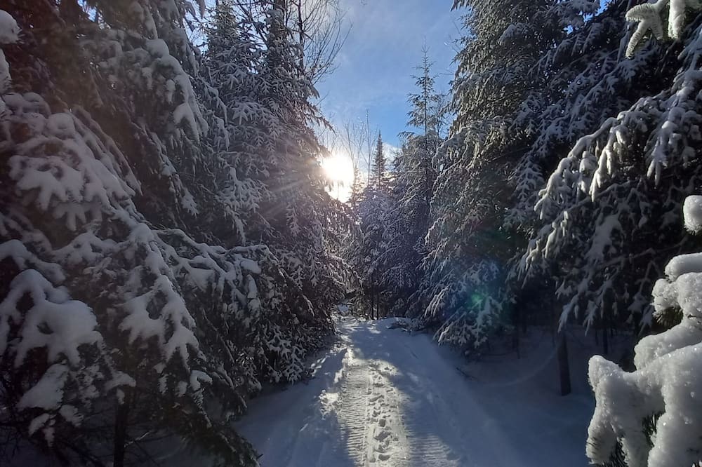 Photo of Outdoor in Sainte-Beatrix