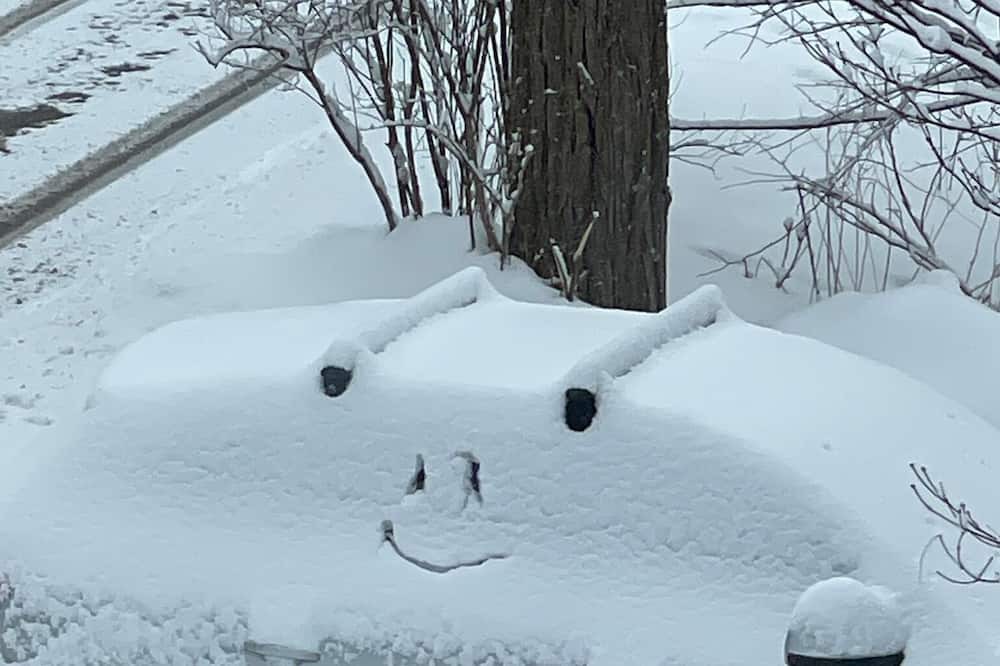 Photo of Outdoor in Cochecton