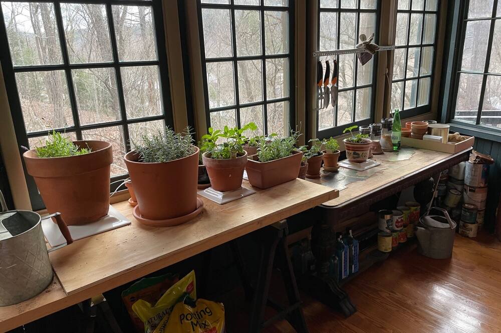 Photo of Others in Cochecton