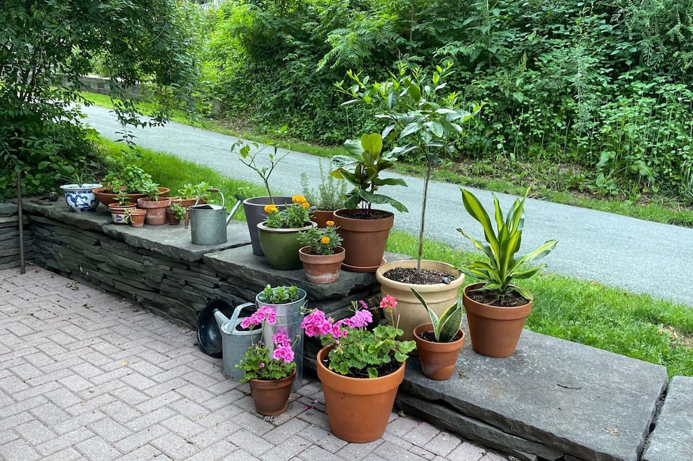 Photo of Outdoor in Cochecton