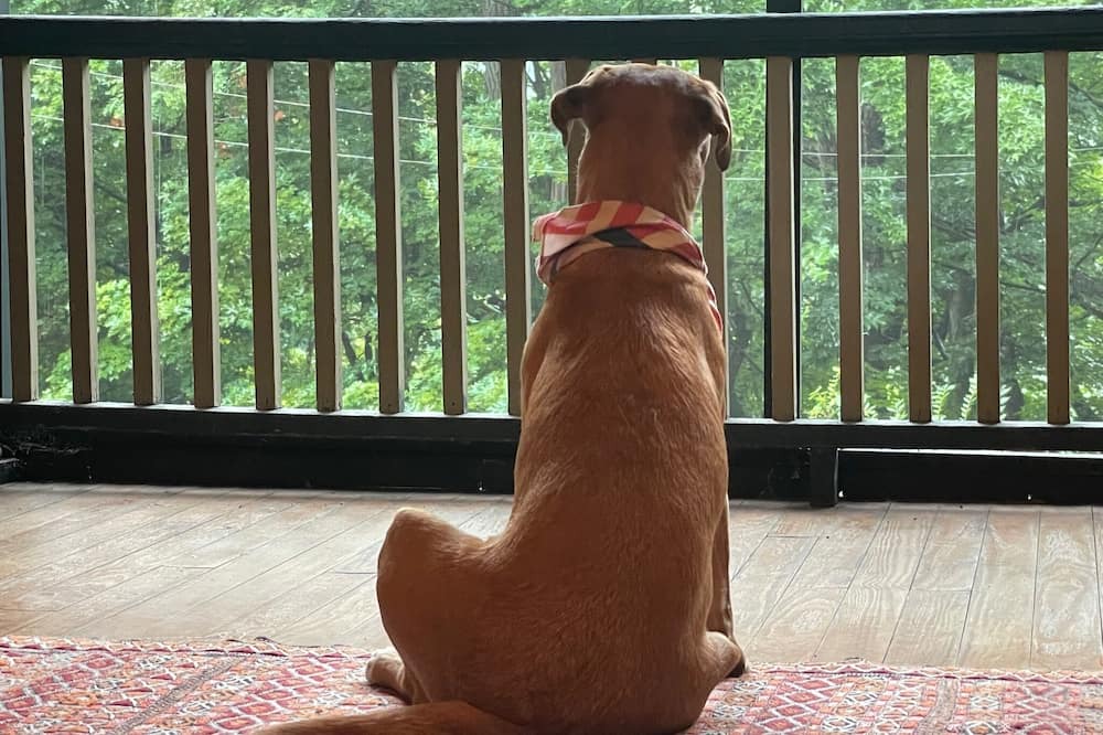 Photo of Others in Cochecton