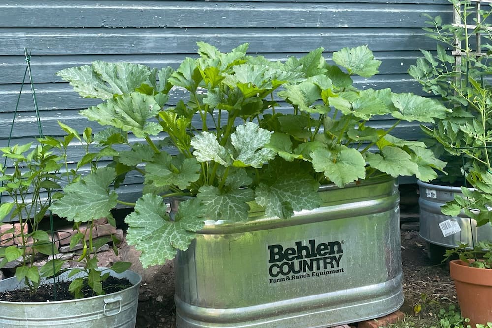 Photo of Outdoor in Cochecton