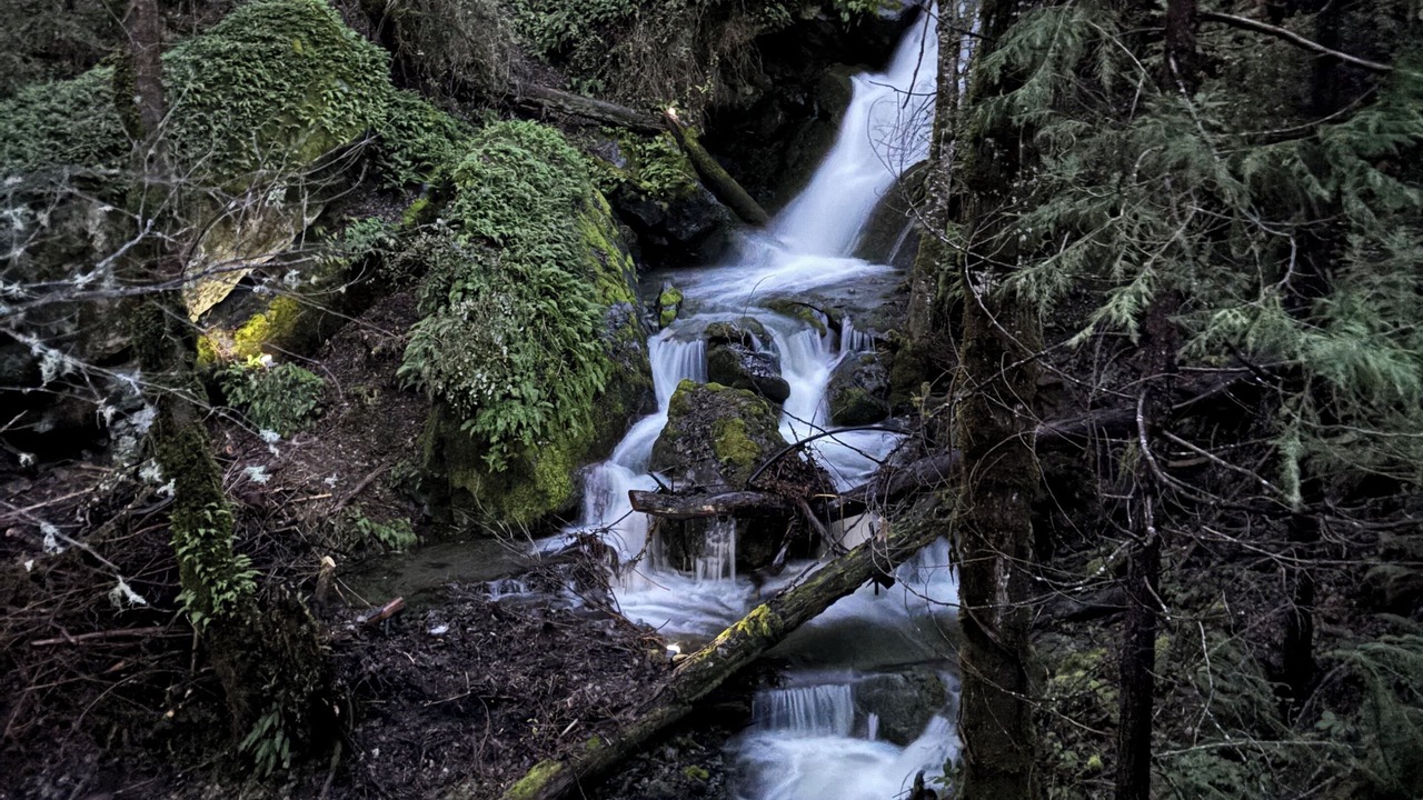 Photo of Outdoor in Burnt Ranch