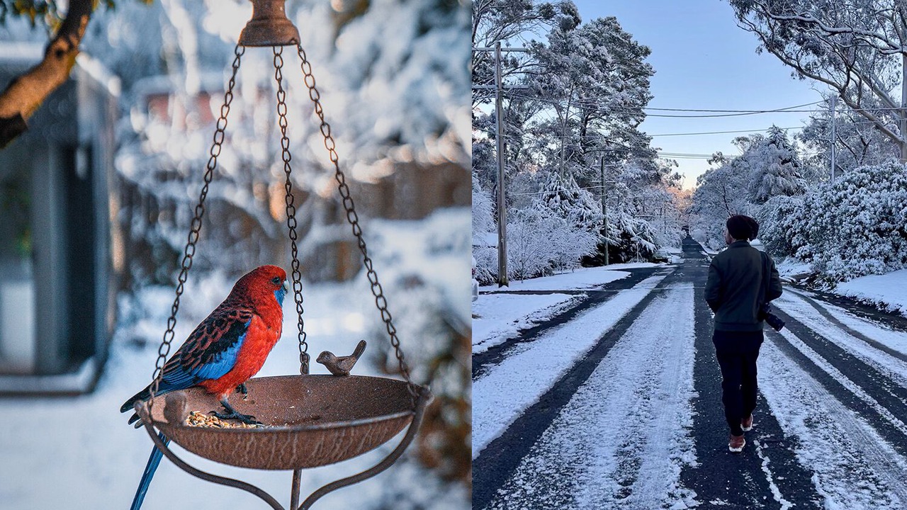 Photo of Others in Medlow Bath