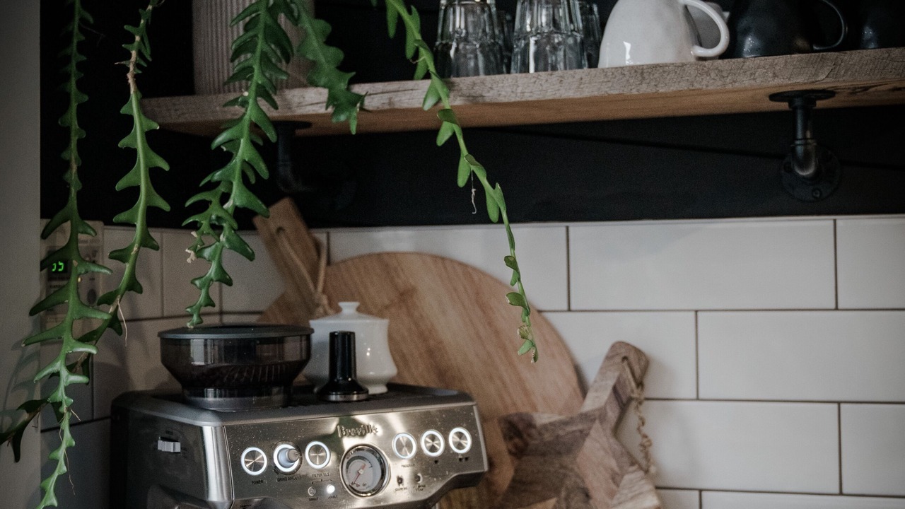 Photo of Outdoor in Medlow Bath