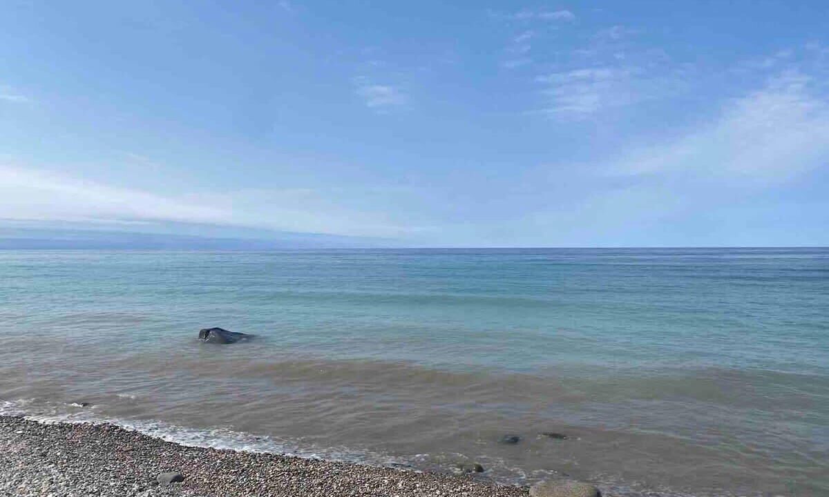 Photo of Others in Kincardine