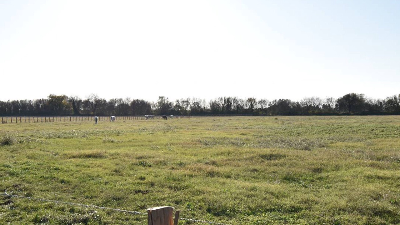 Photo of Outdoor in Le Cailar