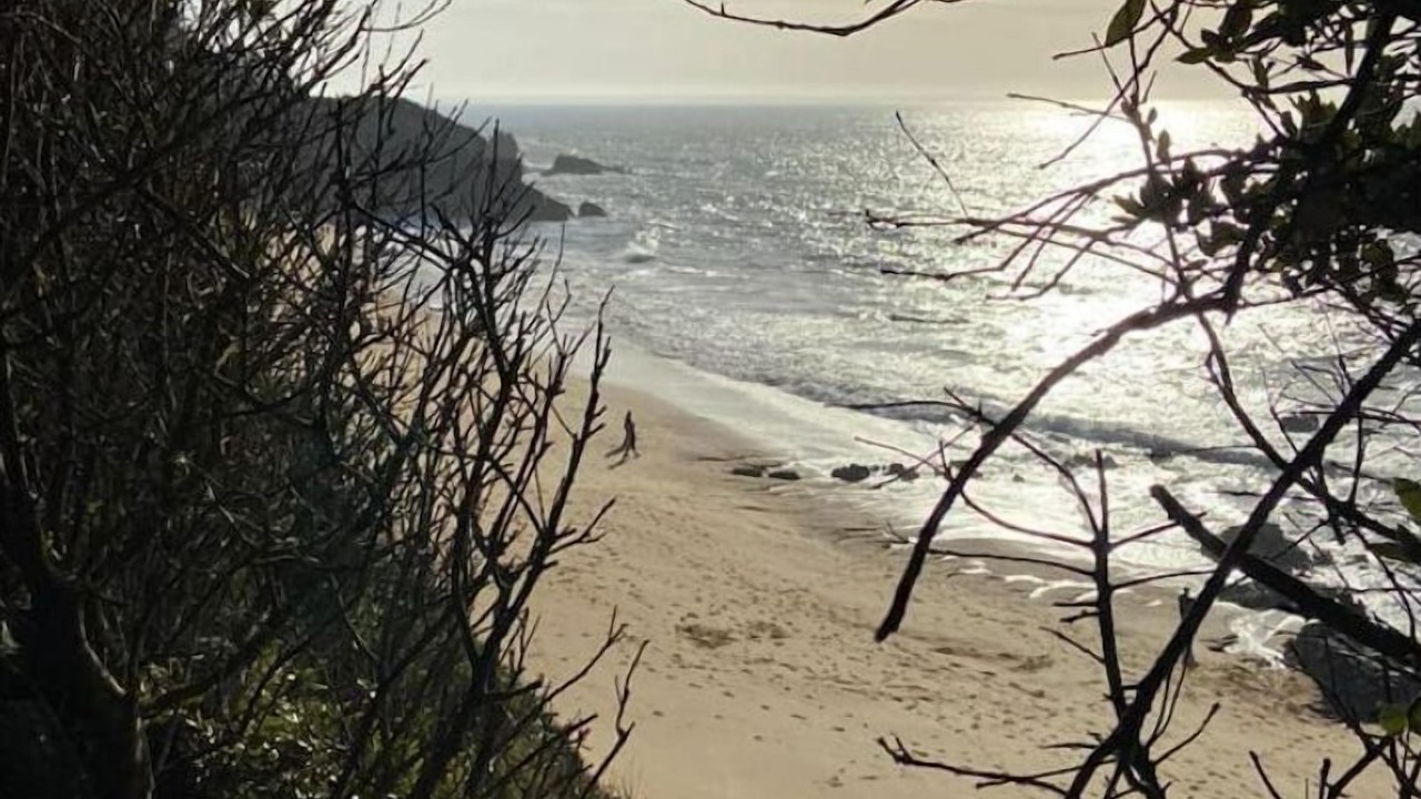 Photo of Others in Saint-Marc-sur-Mer