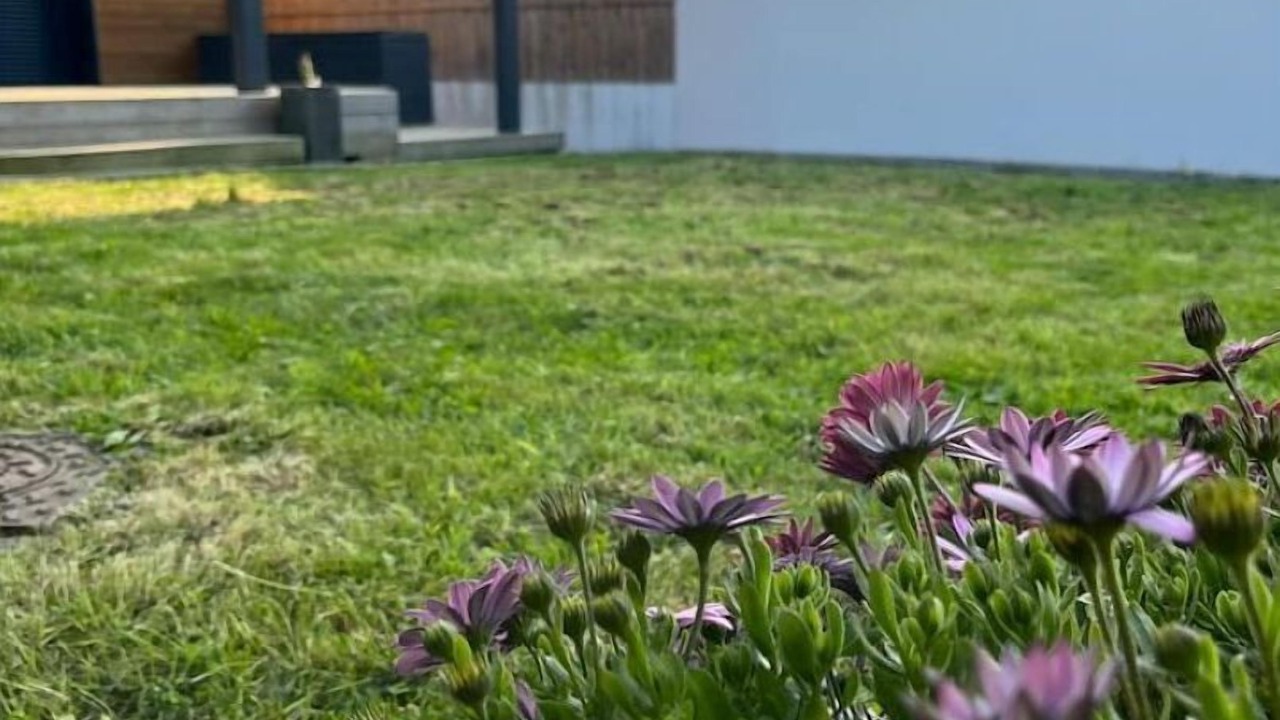 Photo of Outdoor in Saint-Marc-sur-Mer