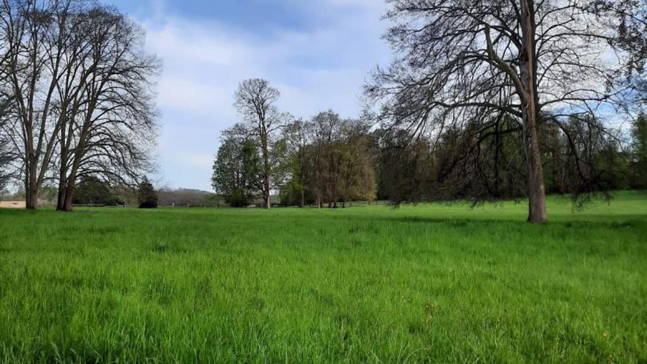 Photo of Others in Marines