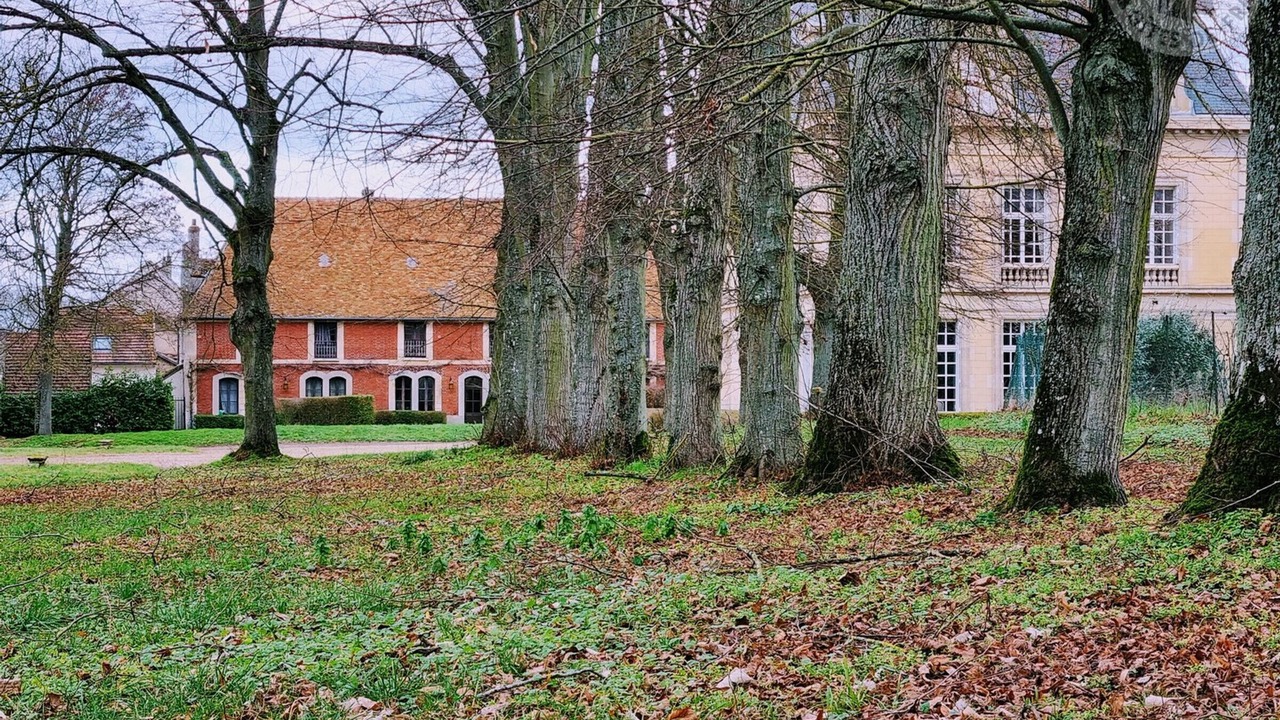 Photo of Outdoor in Marines