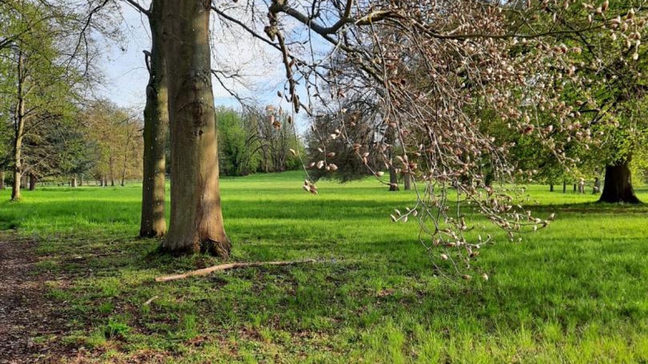 Photo of Others in Marines