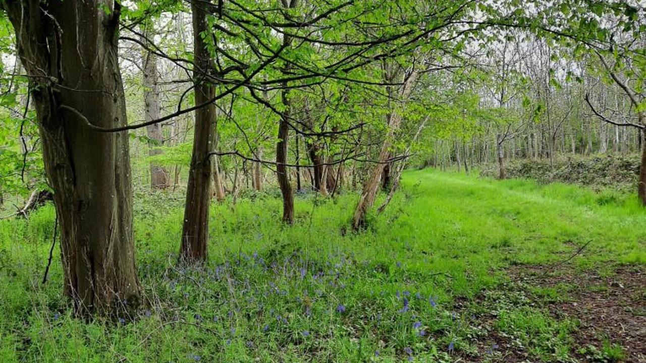 Photo of Outdoor in Marines