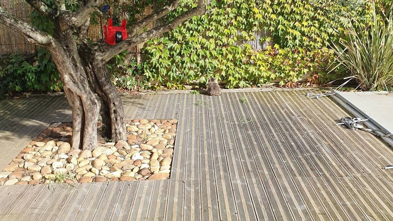 Photo of Outdoor in Les Mages