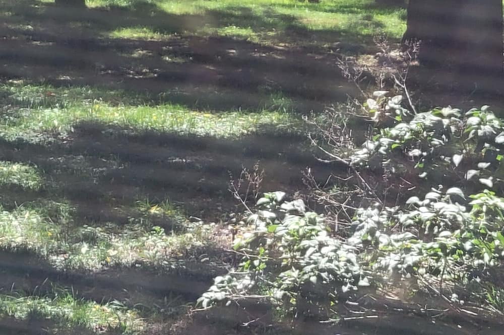 Photo of Others in Pittsburg