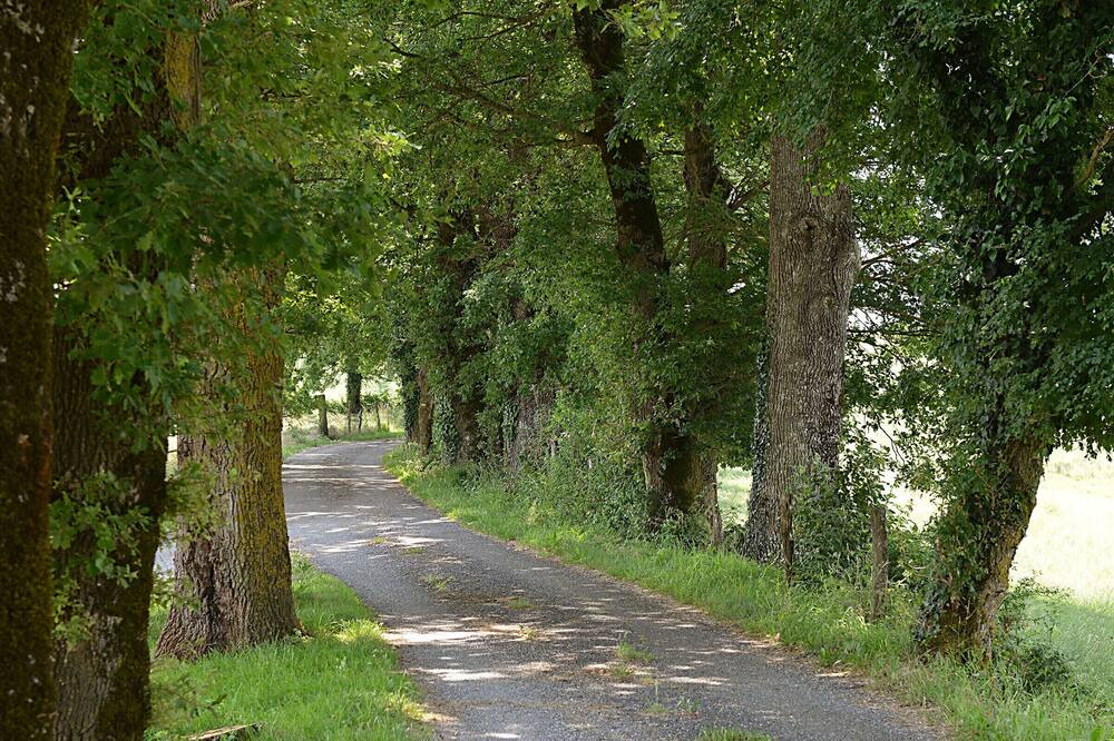 Photo of Others in Villeneuve d'Aveyron