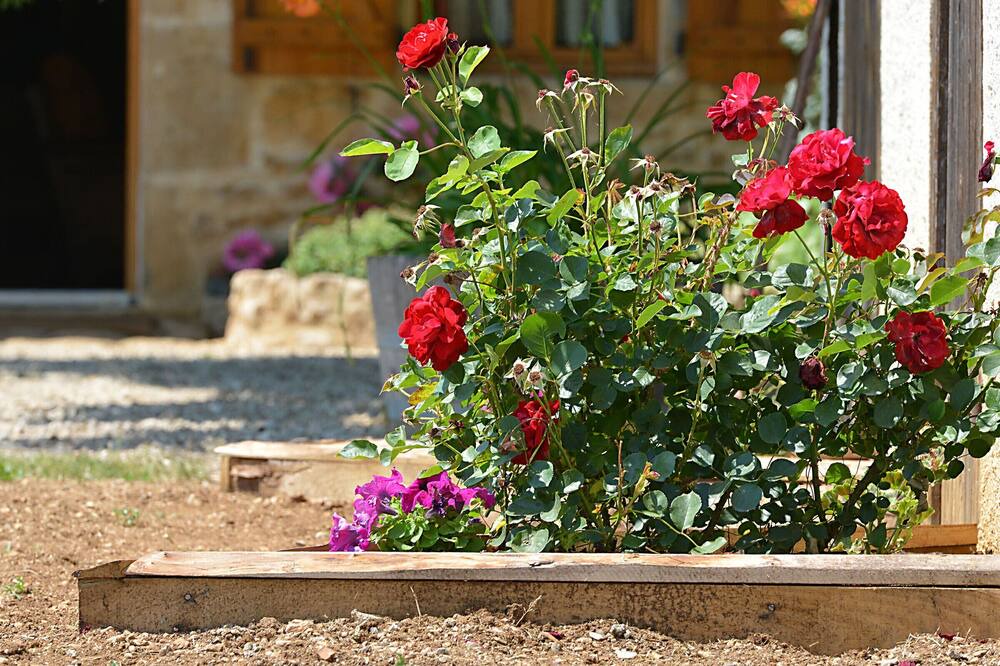 Photo of Outdoor in Villeneuve d'Aveyron