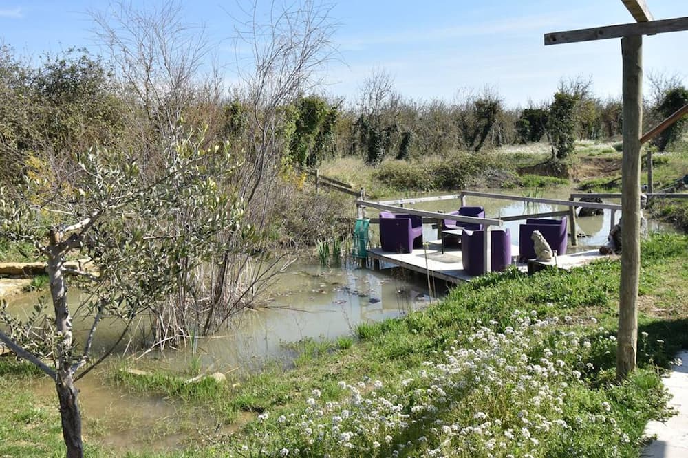 Photo of Outdoor in Le Cailar