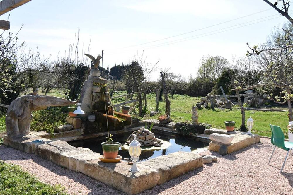Photo of Outdoor in Le Cailar