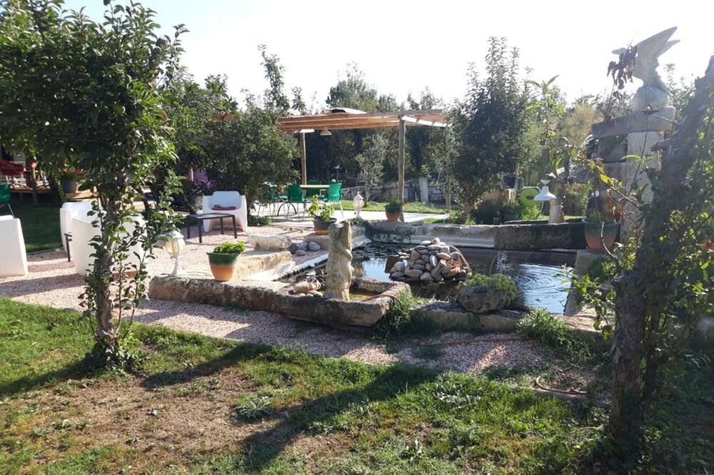 Photo of Outdoor in Le Cailar