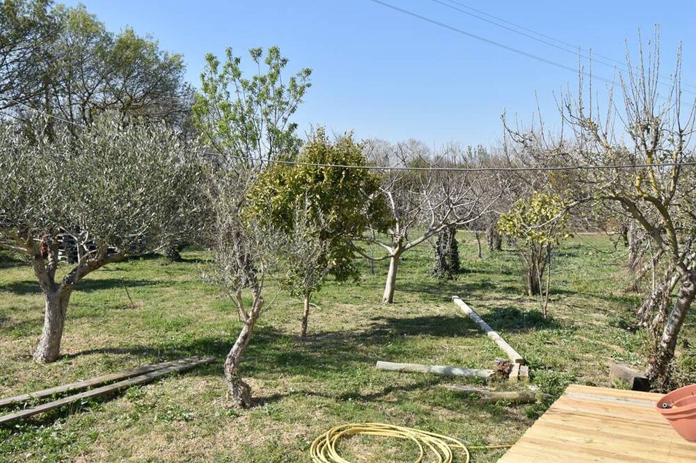 Photo of Outdoor in Le Cailar