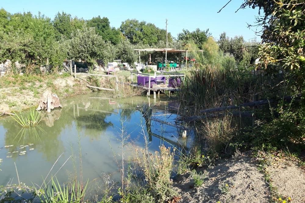 Photo of Outdoor in Le Cailar