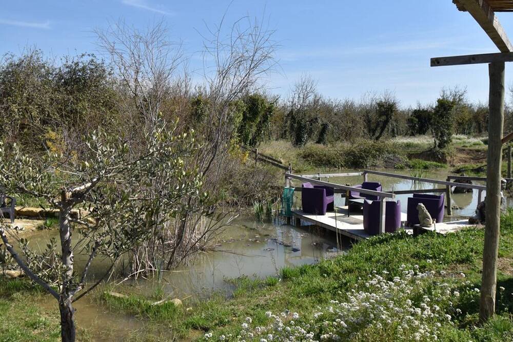 Photo of Outdoor in Le Cailar