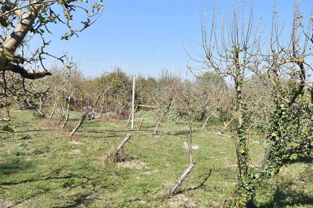 Photo of Outdoor in Le Cailar