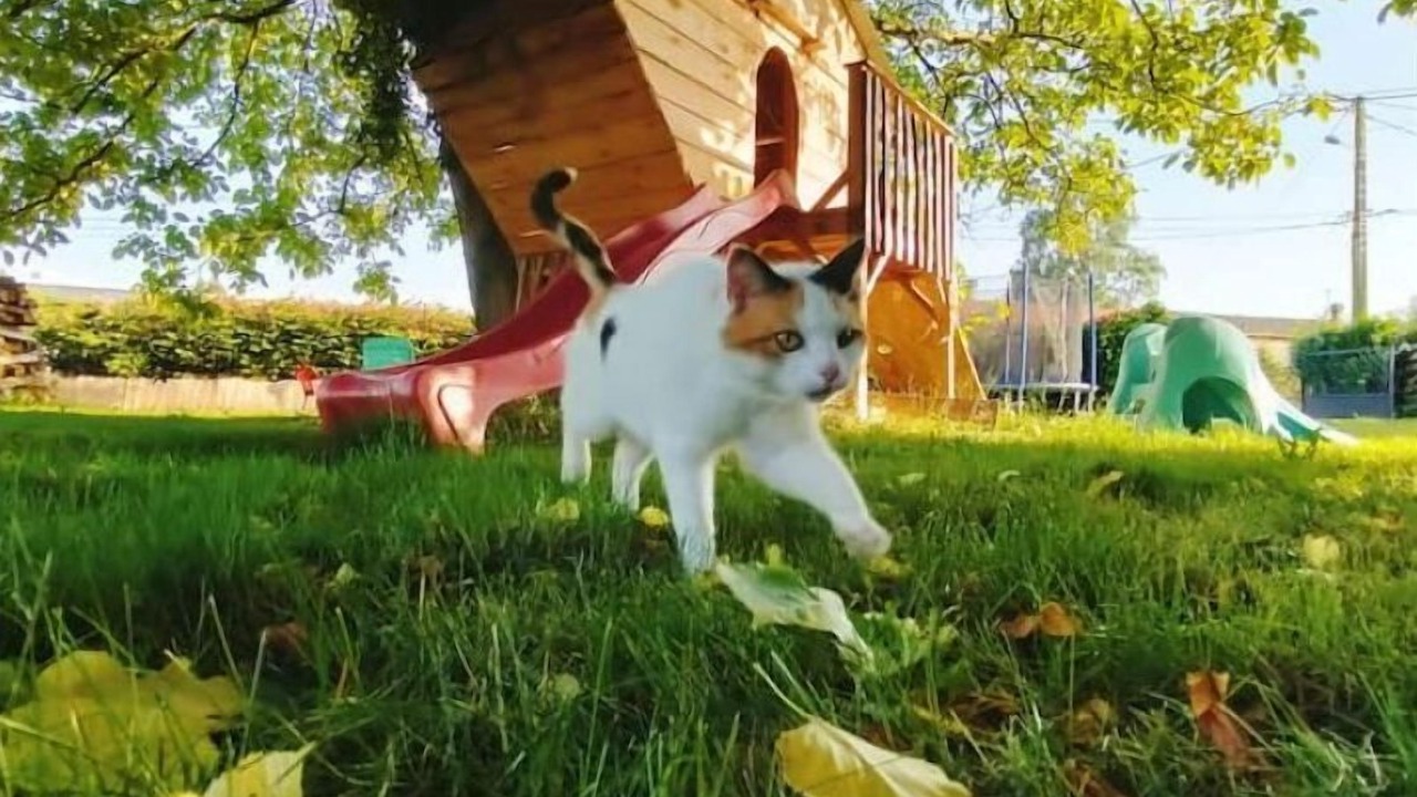 Photo of Outdoor in Lagrange