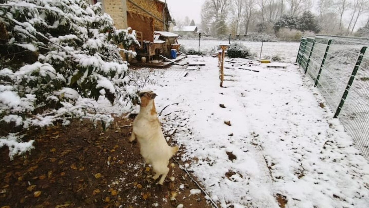 Photo of Outdoor in Lagrange