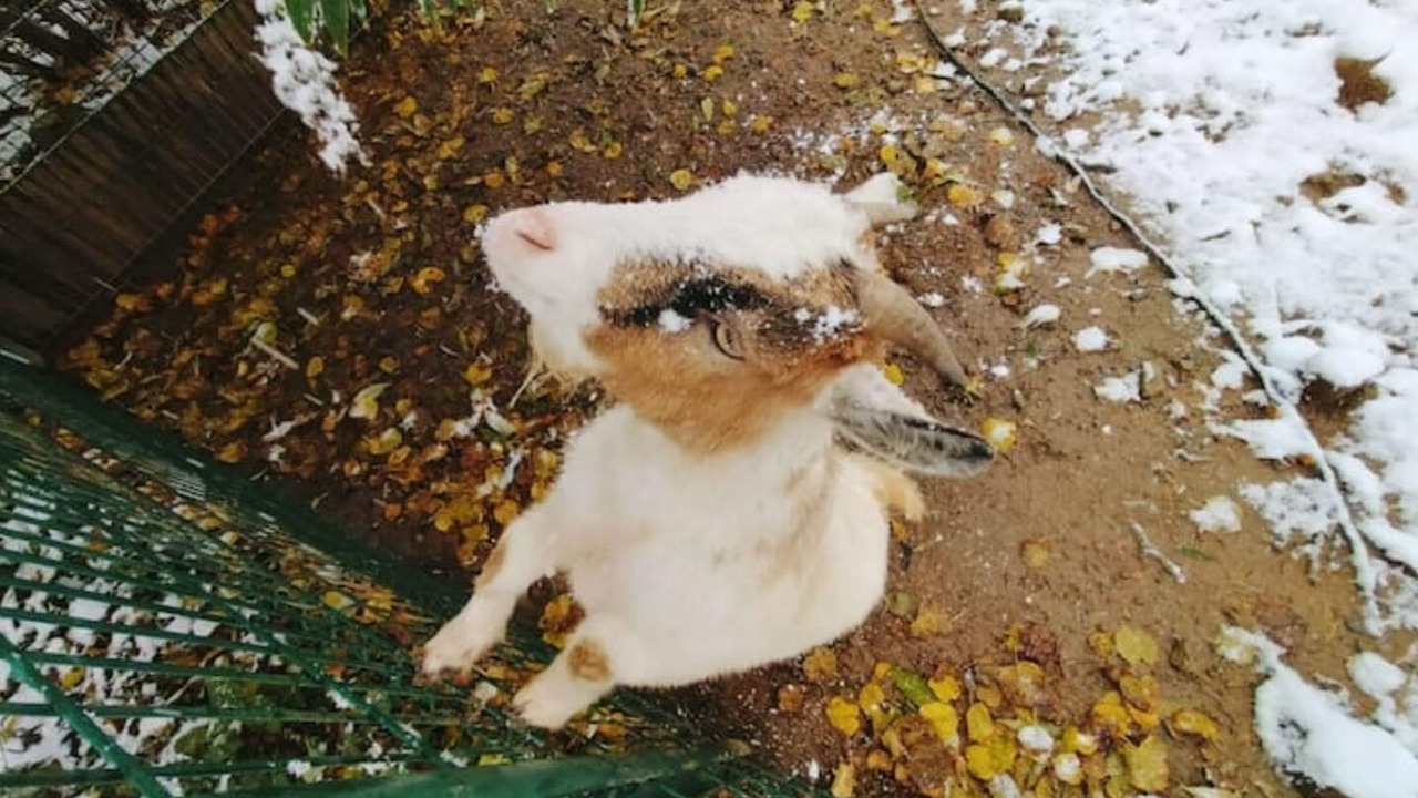 Photo of Outdoor in Lagrange