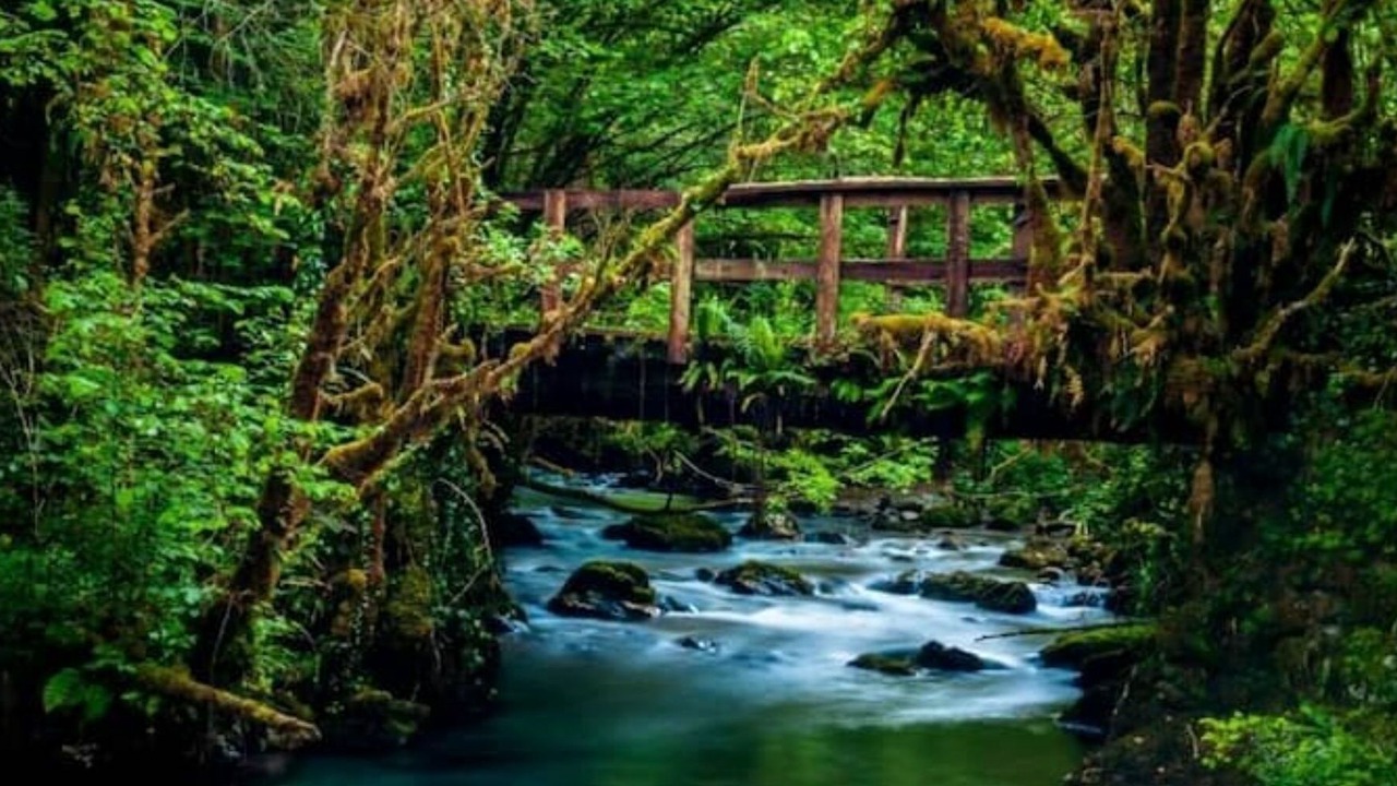 Photo of Outdoor in Lagrange