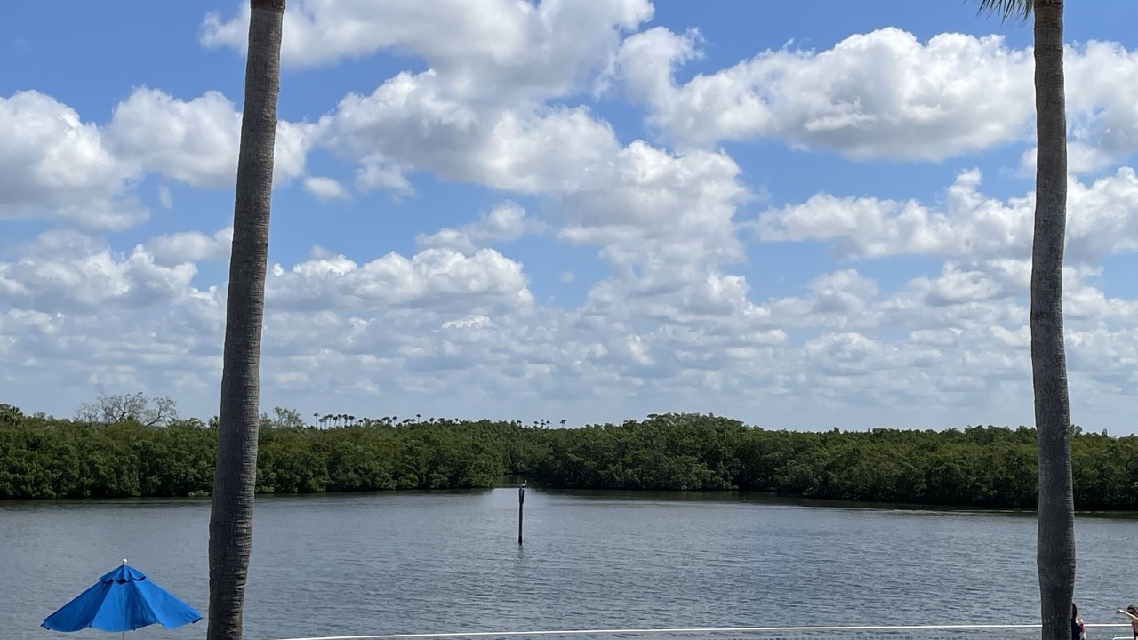 Photo of Outdoor in Ruskin