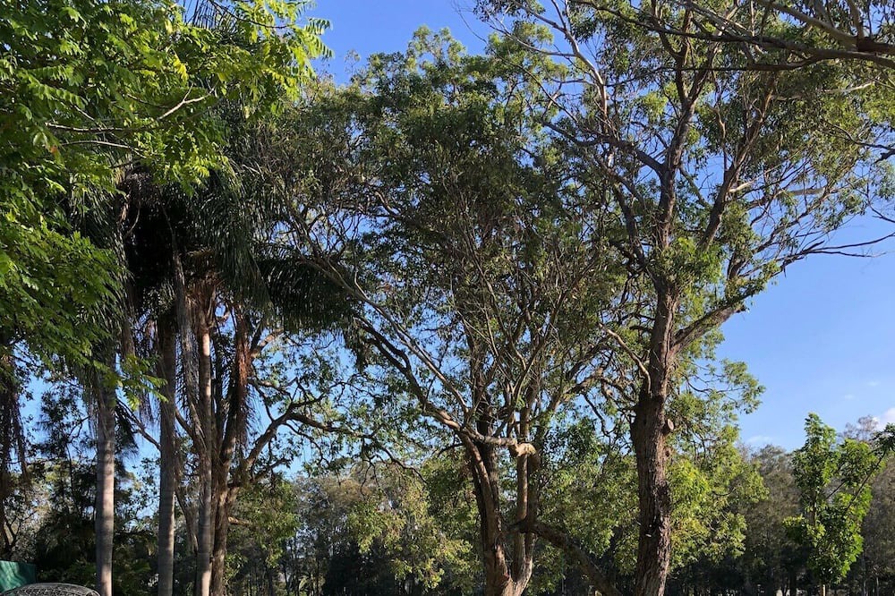 Photo of Outdoor in Chittaway Point