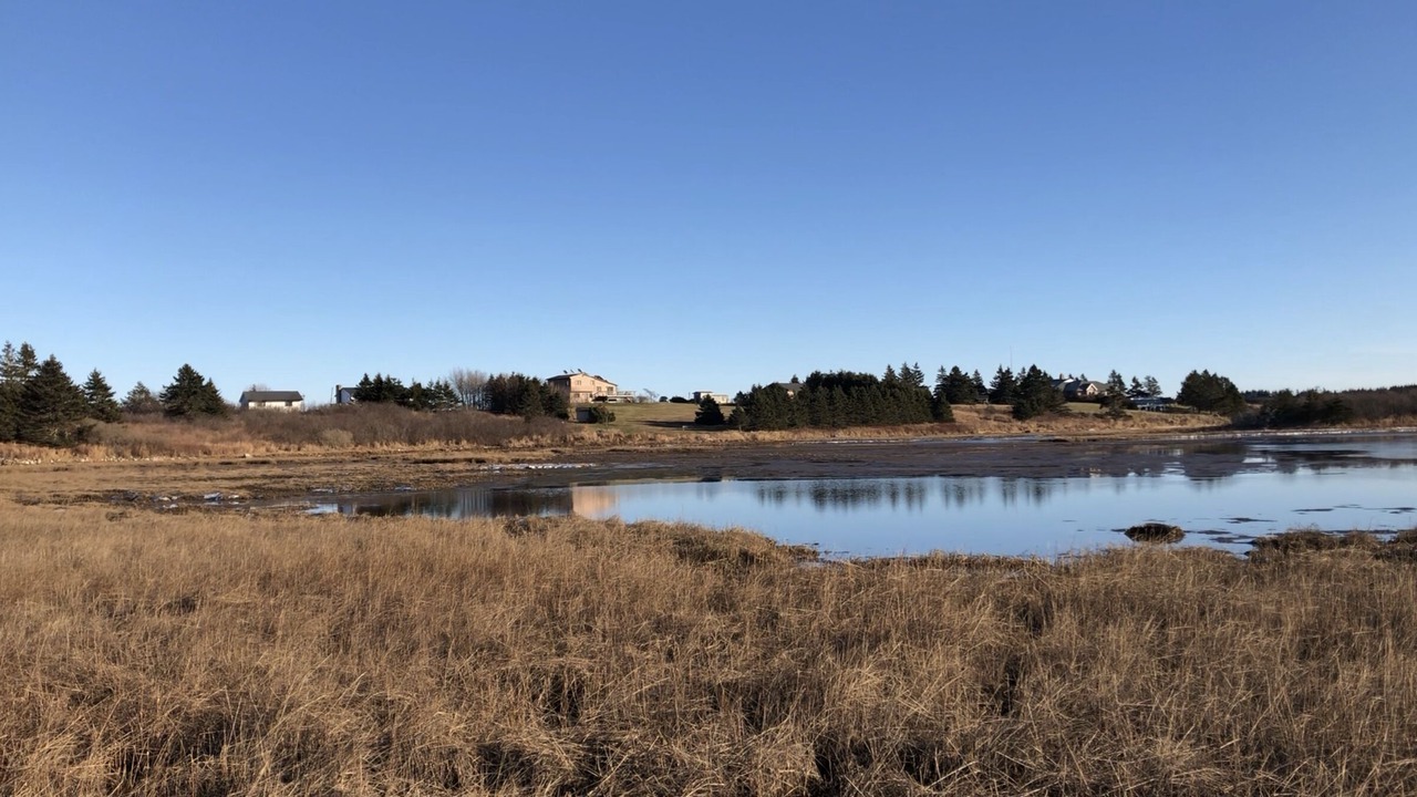 Photo of Others in Lawrencetown