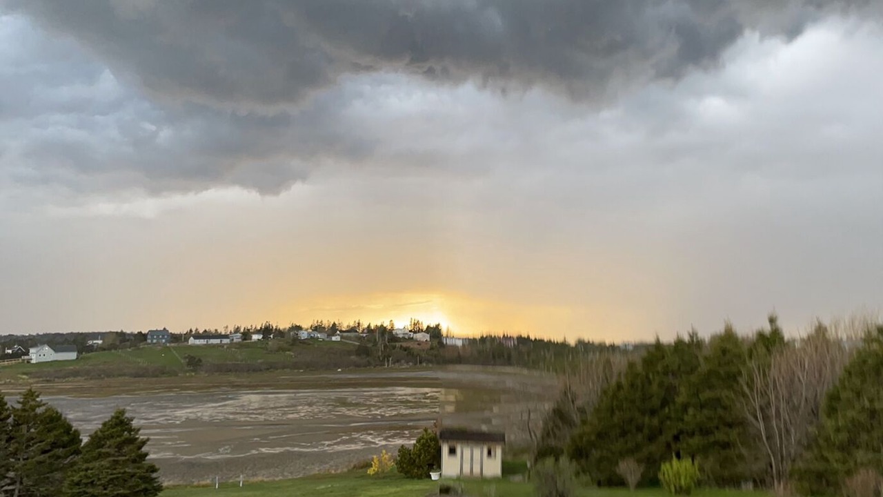 Photo of Others in Lawrencetown