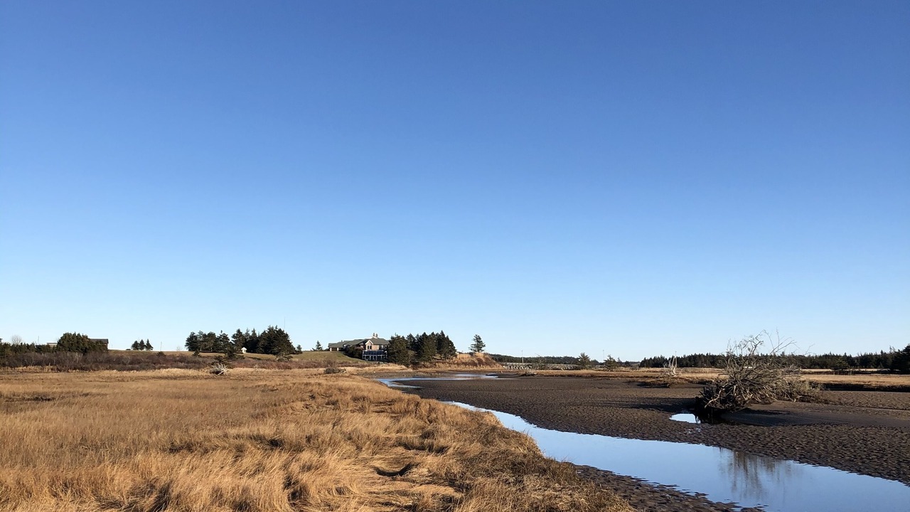 Photo of Others in Lawrencetown