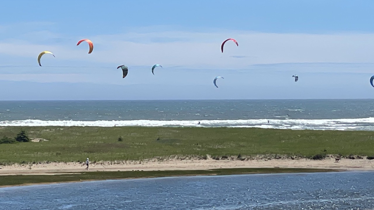 Photo of Others in Lawrencetown