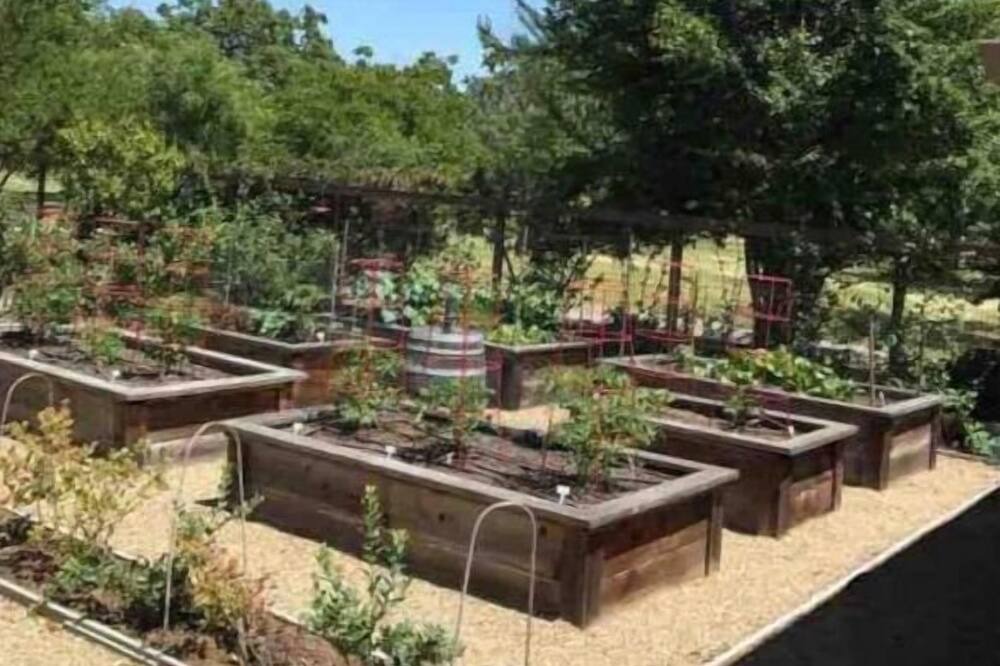 Photo of Outdoor in Santa Rosa