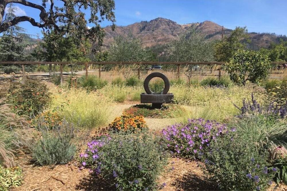 Photo of Outdoor in Santa Rosa