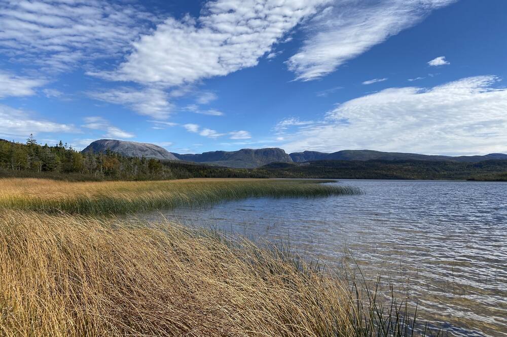 Photo of Outdoor in Norris Point
