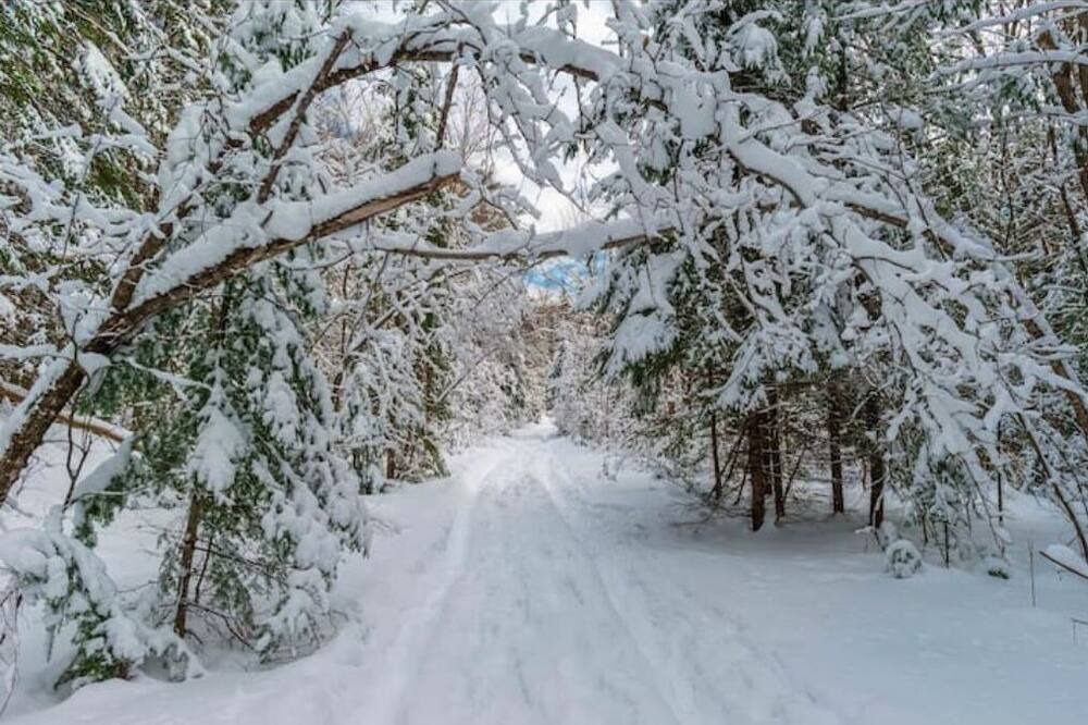 Photo of Others in Bancroft