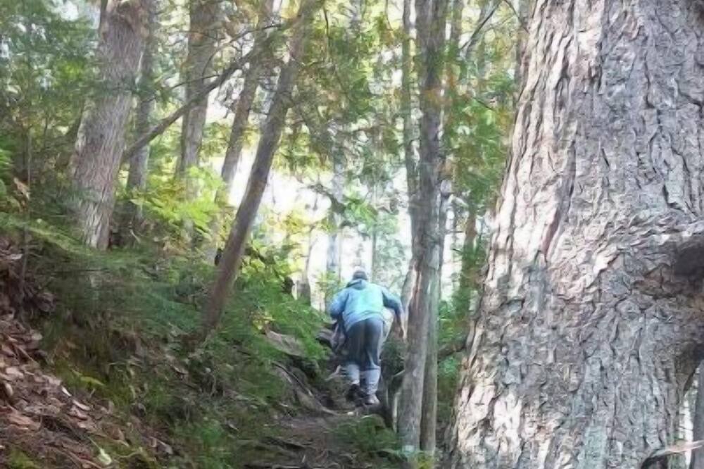 Photo of Outdoor in Bancroft