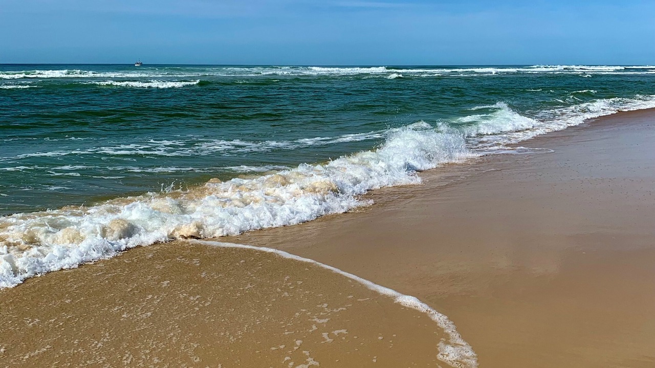 Photo of Others in Creon-dArmagnac